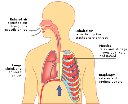 Breathing Chart